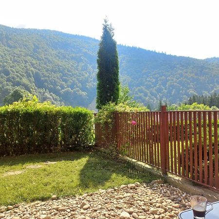 Belleview Garden Studio Apartment Sinaia Exterior photo