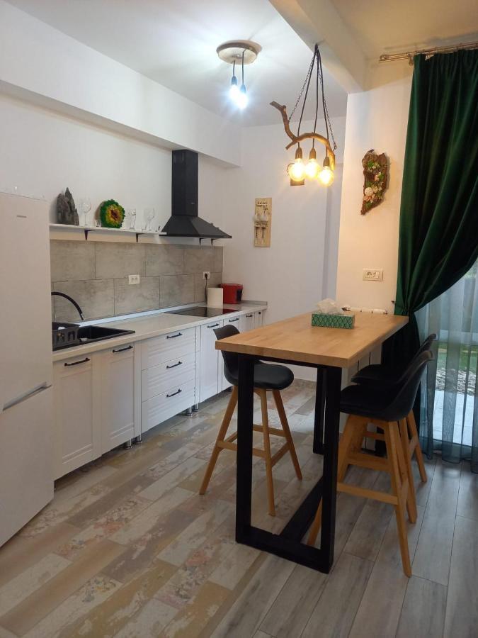 Belleview Garden Studio Apartment Sinaia Exterior photo